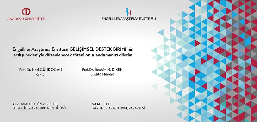 Engelliler Araştırma Enstitüsü çalışmasından görsel 4 / 6