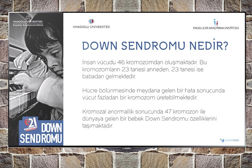 Engelliler Araştırma Enstitüsü çalışmasından görsel 6 / 6
