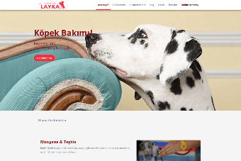 Layka Veteriner Kliniği çalışmasının kapak görseli